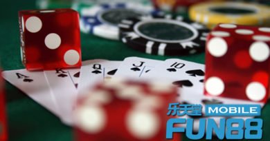 ความหลากหลายในเกมคาสิโน